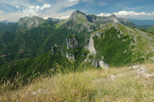 Corchia mountain. Apuan Alps mountains with flower in the foreground. Stock photos. - MyVideoimage.com | Foto stock & Video footage