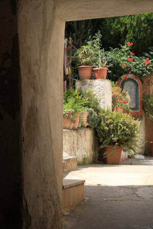 Cortile con giardino. Courtyard of a Mediterranean garden on Procida Island. Red flowers of bignonia. and marble bathtub. - MyVideoimage.com | Foto stock & Video footage