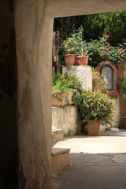 Cortile con giardino. Courtyard of a Mediterranean garden on Procida Island. Red flowers of bignonia. and marble bathtub. - MyVideoimage.com | Foto stock & Video footage