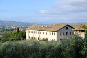 Countryside around Assisi. Religious buildings and an olive plantation. - MyVideoimage.com | Foto stock & Video footage