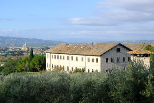 Countryside around Assisi. Religious buildings and an olive plantation. - MyVideoimage.com | Foto stock & Video footage