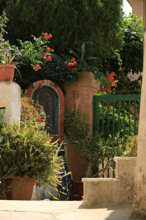 Courtyard of garden. Courtyard of a Mediterranean garden on Procida Island. Red flowers of bignonia. and marble bathtub. - MyVideoimage.com | Foto stock & Video footage