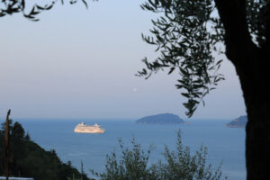 Crociere La Spezia, Portovenere. Seascape with olive tree and Crystal Serenity cruise ship. The Gulf in the Mediterranean Sea with the Tino and Palmaria Islands in the background light of dawn. - MyVideoimage.com | Foto stock & Video footage