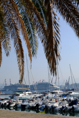 Cruise ship and boats in the marina. - MyVideoimage.com | Foto stock & Video footage