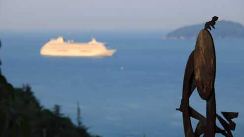 Cruise ship mediterranean Serenity cruise ship with olive leaves and corten sculpture.  Navi - MyVideoimage.com | Foto stock & Video footage