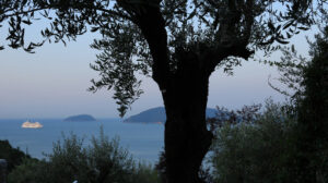 Crystal Serenity cruise ship. Seascape with olive tree and Crystal Serenity cruise ship. The Gulf in the Mediterranean Sea with the Tino and Palmaria Islands in the background light of dawn. - MyVideoimage.com | Foto stock & Video footage