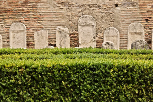 Diocletian Baths, Rome. Garden with boxwood hedges and Roman tombstones in white marble. - MyVideoimage.com | Foto stock & Video footage