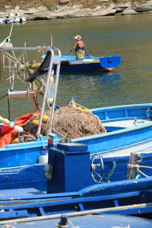 Donna in barca. Woman with rowing boat in the port of Corricella. - MyVideoimage.com | Foto stock & Video footage