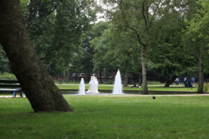 Ducks in a park. Ducks in a city park in Amsterdam. In the background a pond with - MyVideoimage.com | Foto stock & Video footage