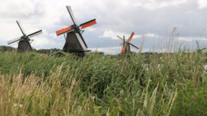 Dutch windmills. Windmills of Zaanse Schans, near Amsterdam. The structures were - MyVideoimage.com | Foto stock & Video footage