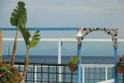 Entrance to bathing establishment. Bow with banana plant. In the - MyVideoimage.com