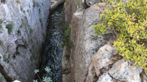 Etruscan cut in Ansedonia, Maremma Toscana. A canary dug into th - MyVideoimage.com