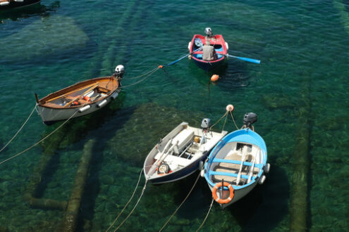 Fisherman Cinque Terre. Fisherman with colorful rowboat in the blue sea of Liguria. Riomaggiore, Cinque Terre. - MyVideoimage.com | Foto stock & Video footage