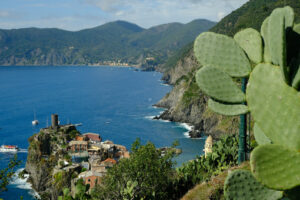 Five Lands panorama. Village of Vernazza in the Cinque Terre with the sea bay and the mountains. Top view with prickly pear cactus plant. - MyVideoimage.com | Foto stock & Video footage