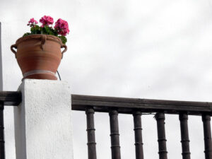 Flower pot and wooden parapet - MyVideoimage.com