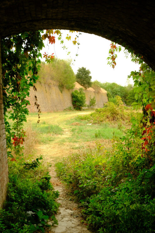 Fortress in the green. Moat with bridge of the fortress of the Citadel. Stock photos. - MyVideoimage.com | Foto stock & Video footage