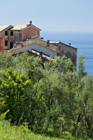 Framura, vicino alle Cinqueterre. Houses in the village of Framura, near the Cinque Terre. - MyVideoimage.com | Foto stock & Video footage