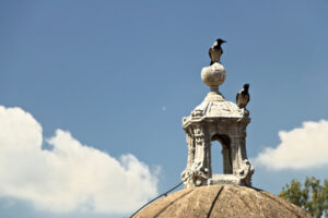 Gazze ladre fanno una sosta su una torre di marmo in un castello a Roma. - MyVideoimage.com | Foto stock & Video footage