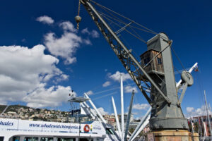 Genoa. Boat for tourist cruises. - MyVideoimage.com | Foto stock & Video footage