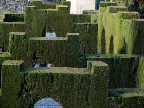 Geometrically cut hedges in the garden of the Alhambra - MyVideoimage.com