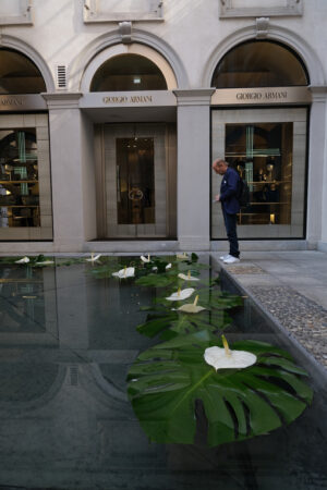 Giorgio Armani boutique. Fountain with flowering aquatic plants in the courtyard of the G - MyVideoimage.com | Foto stock & Video footage