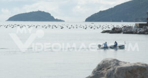 Gozzo a motore. Gozzo type boat with engine in backlight on the flat sea. Video footage.