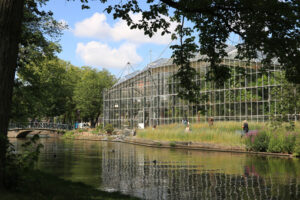 Greenhouse in the botanical garden of Amsterdam. An ancient bota - MyVideoimage.com | Foto stock & Video footage