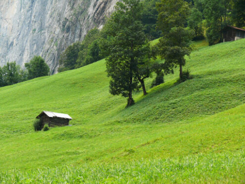 Grindelwald.Switzerland. Alpine landscape. Foto Svizzera. Switzerland photo