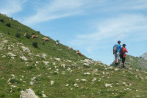 Hikers. Mountain hikers photograph the landscape. Stock photos. - MyVideoimage.com | Foto stock & Video footage