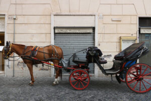 Horse in Rome. Horse with buggy stopped in a square in Rome. - MyVideoimage.com | Foto stock & Video footage