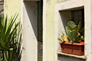 House facade. Ligurian house courtyard with vases and vegetation. San Bernardino, Cinque Terre - MyVideoimage.com | Foto stock & Video footage