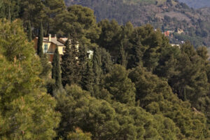 House in the woods. Bonassola, near Cinque Terre. 03/31/2019. A typical Ligurian house - MyVideoimage.com | Foto stock & Video footage