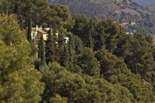 House in the woods. Bonassola, near Cinque Terre. 03/31/2019. A typical Ligurian house - MyVideoimage.com | Foto stock & Video footage
