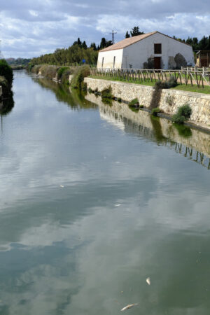 House on the canal. Farmhouse near the canal in the Cagliari lagoon. Stock photos. - MyVideoimage.com | Foto stock & Video footage