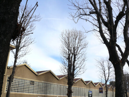 Industrial archeology buildings in the city of Busto Arsizio. Facade of an old factory with glass-pane windows and bare trees. - MyVideoimage.com