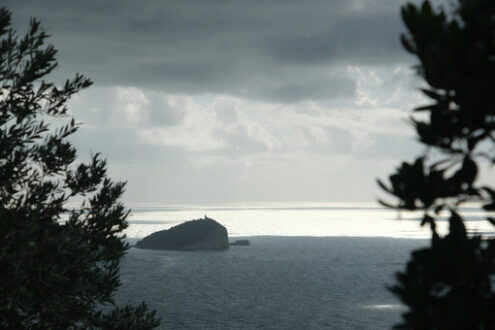 Island in Liguria. Reflections of light on the sea near the Cinque Terre in Liguria. Tino island with mountain and trees. - MyVideoimage.com | Foto stock & Video footage