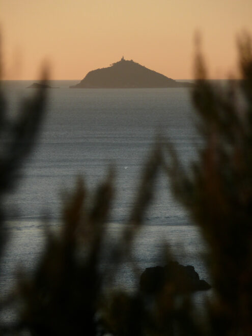 Isola del Tino a La Spezia, con il faro. Luce del tramonto rosa. - MyVideoimage.com | Foto stock & Video footage