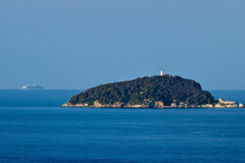 Isola del Tino and in the distance the Oasis of the Seas cruise ship. - MyVideoimage.com