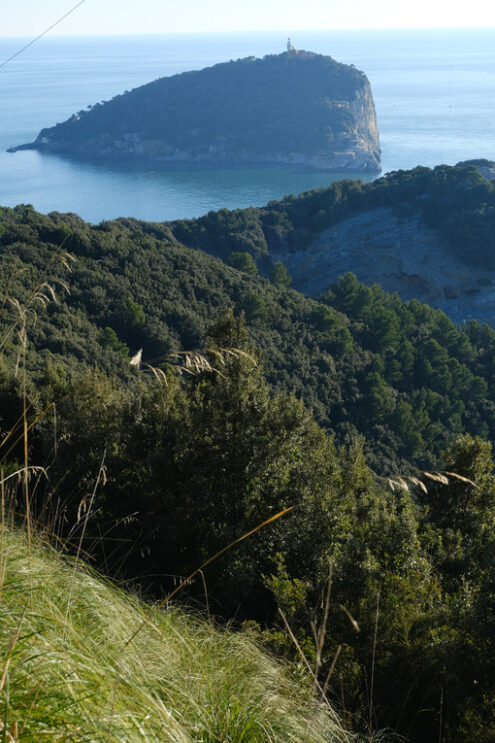 Isola del Tino fotografata dall’isola Palmaria, vicino alle Cinque Terre e Portovenere. - MyVideoimage.com | Foto stock & Video footage