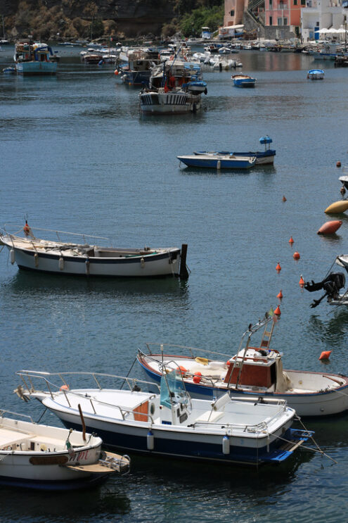 Isola di Procida. Procida Island near Naples. Port of Corricella frequented by fis - MyVideoimage.com | Foto stock & Video footage