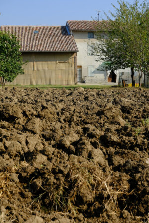 Italian farmhouse with cultivated land. Farmhouse in the Italian countryside. Stock photos. - MyVideoimage.com | Foto stock & Video footage