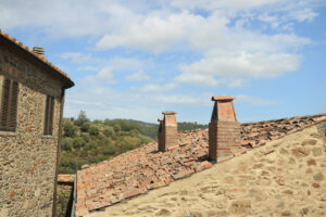 Italian stone houses in the village of Pereta near Magliano in Toscana. - MyVideoimage.com | Foto stock & Video footage