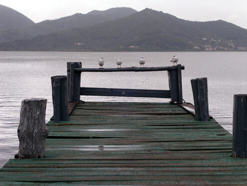 Gabbiani sul molo. Jetty on Lake Massaciuccoli. Torre del Lago, Lucca, Italy