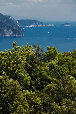 Panorama dall'Isola del Tino a Monterosso nelle Cinque Terre. Fotografia