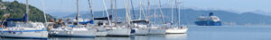 La Spezia cruise ship anchored in the Gulf of La Spezia opposite Portovenere, near the Cinque Terre. - MyVideoimage.com | Foto stock & Video footage