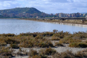 Lagoon in Cagliari. Molentargius park with salt flats. Stock photos. - MyVideoimage.com | Foto stock & Video footage