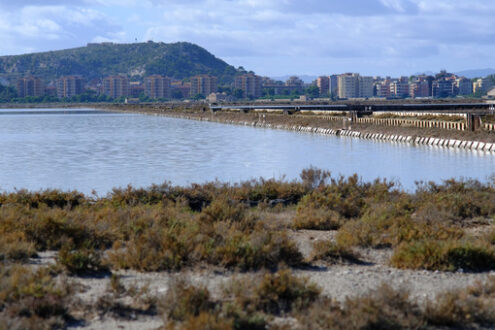 Lagoon in Cagliari. Molentargius park with salt flats. Stock photos. - MyVideoimage.com | Foto stock & Video footage