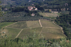 Landscape of the Chianti hills with vineyard cultivation. Ancient Vignamaggio villa in Greve in Chianti with rows of vines. - MyVideoimage.com