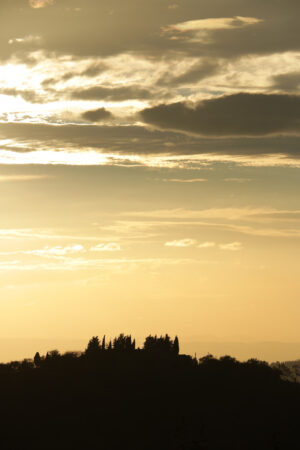 Landscape of the Tuscan hills. Sky with clouds at sunset. Cypres - MyVideoimage.com