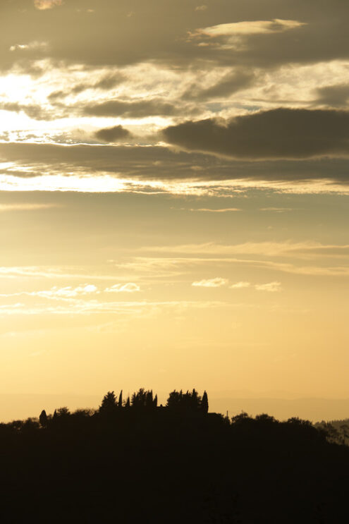Landscape of the Tuscan hills. Sky with clouds at sunset. Cypres - MyVideoimage.com